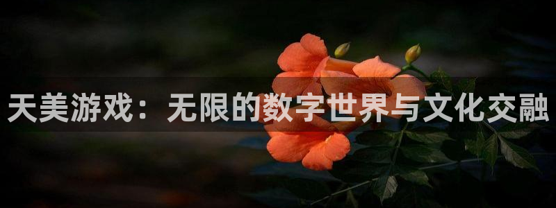 尊龙app官方正版下载