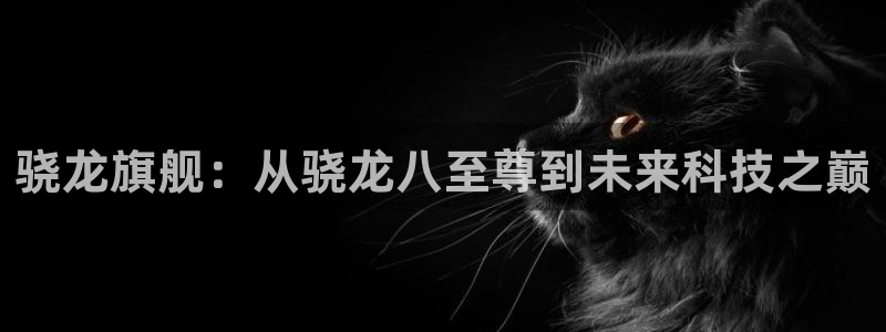 尊龙凯发人生就是搏官网登录