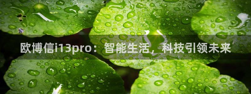 尊龙凯时人生就是搏平台