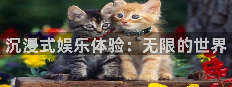 尊龙app手机版官网