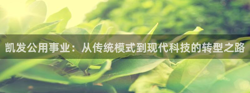 尊龙时凯中国官网登录