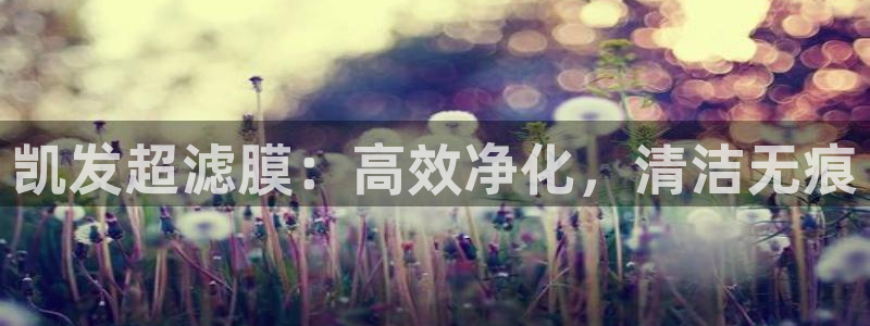 pg尊龙凯时
