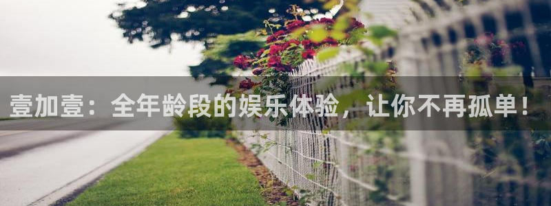 尊龙开始凯时人生就是博