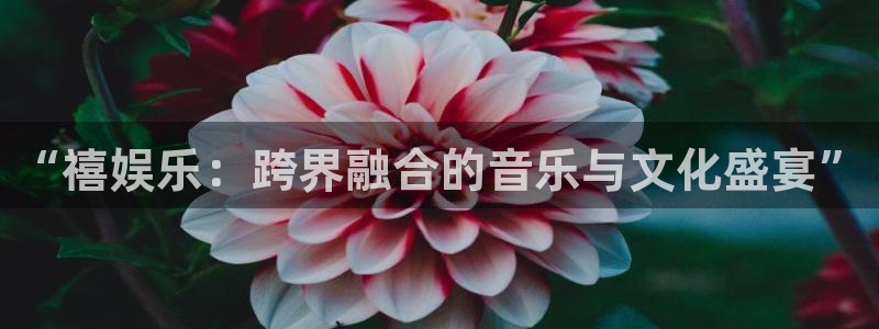 尊龙凯时黑不黑