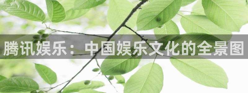 尊龙官方app下载