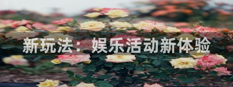 尊龙时凯是谁：新玩法：娱乐活动新体验