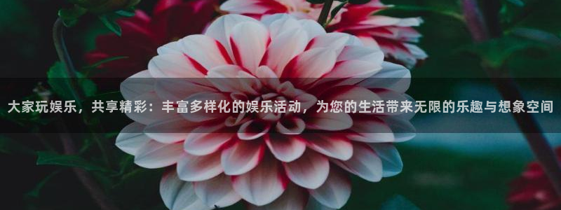 尊龙凯时链接：大家玩娱乐，共享精彩：丰富多样化的娱乐活动，为您的生活带来无限的乐趣与想象空间
