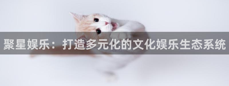 凯时尊龙网页登录：聚星娱乐：打造多元化的文化娱乐生态系统