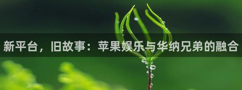 尊龙凯z6官网登录入口：新平台，旧故事：苹果娱乐与华纳兄弟的融合