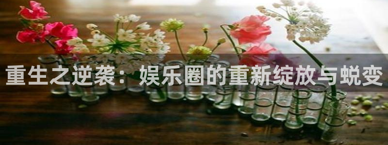 尊龙时凯人生就是搏：重生之逆袭：娱乐圈的重新绽放与蜕变