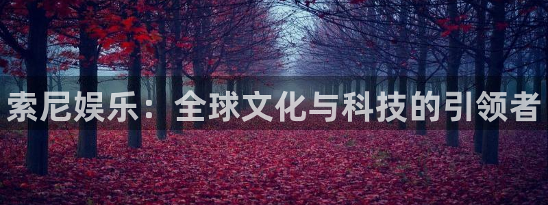 尊龙凯时官网登录：索尼娱乐：全球文化与科技的引领者