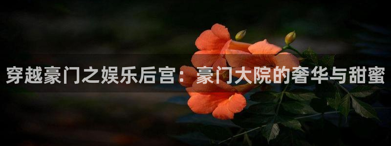 尊龙凯时人生就是赢：穿越豪门之娱乐后宫：豪门大院的奢华与甜蜜