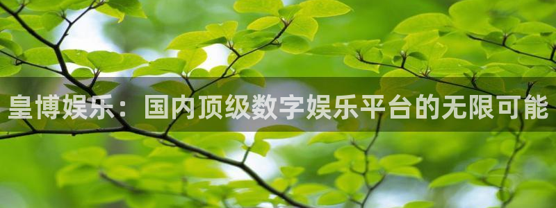 尊龙凯时人生就博：皇博娱乐：国内顶级数字娱乐平台的无限可能
