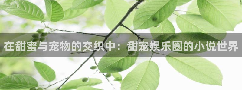 尊龙凯时人生就是博官网：在甜蜜与宠物的交织中：甜宠娱乐圈的小说世界