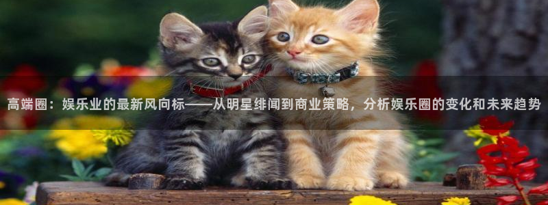 ag尊龙凯时人生就是博：高端圈：娱乐业的最新风向标——从明星绯闻到商业策略，分析娱乐圈的变化和未来趋势