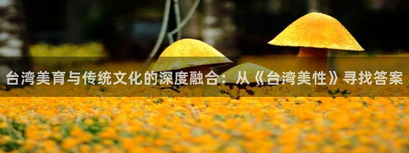 尊龙时凯链接：台湾美育与传统文化的深度融合：从《台湾美性》寻找答案