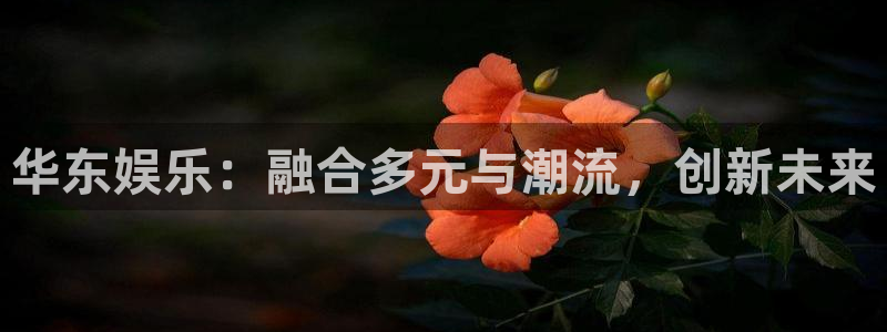 尊龙ag旗舰厅官网官方入口：华东娱乐：融合多元与潮流，创新未来