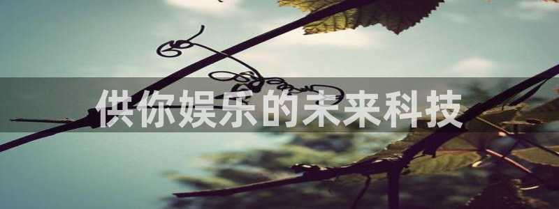 尊龙时凯博：供你娱乐的未来科技