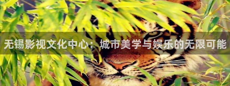 尊龙凯时人生官网入口：无锡影视文化中心：城市美学与娱乐的无限可能