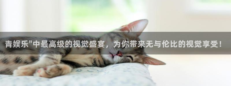 尊龙凯时人生就是搏：青娱乐\