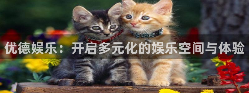 尊龙凯官网入口：优德娱乐：开启多元化的娱乐空间与体验